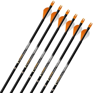Carbon Hunting Arrows