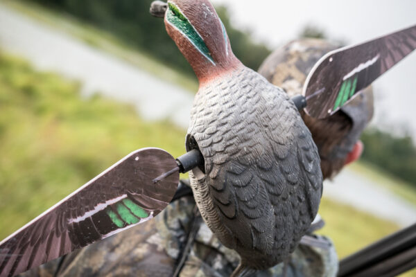 Lucky Teal HD – Bild 4