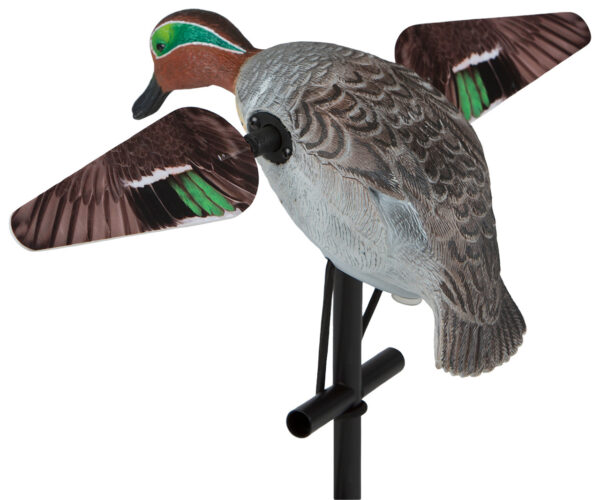 Lucky Teal HD