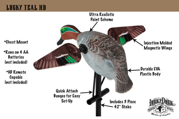 Lucky Teal HD – Bild 2
